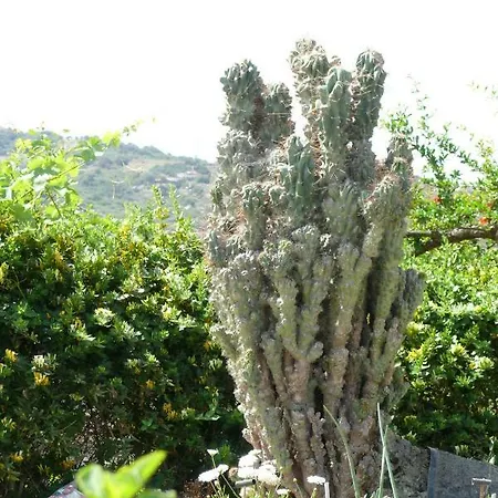 Countryside * Sitia (Crete)